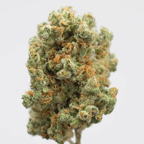 AK