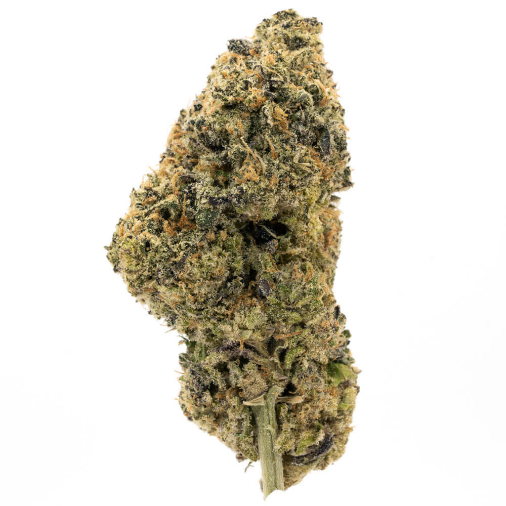Purple-Cheese