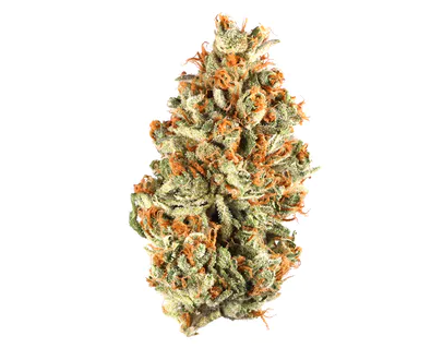 Sour Blueberry